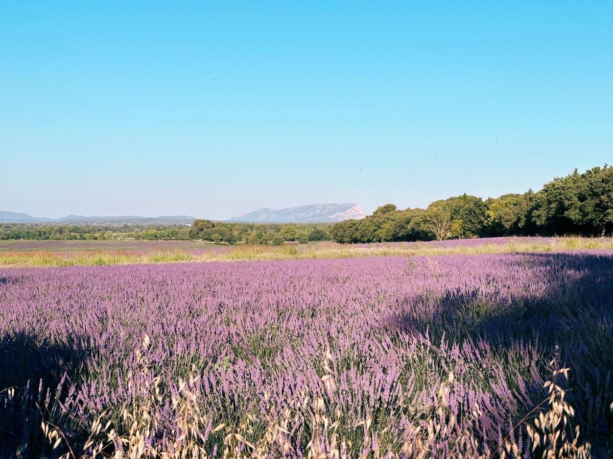 Maison Francoise Bed & Breakfast Aix-en-Provence Luaran gambar