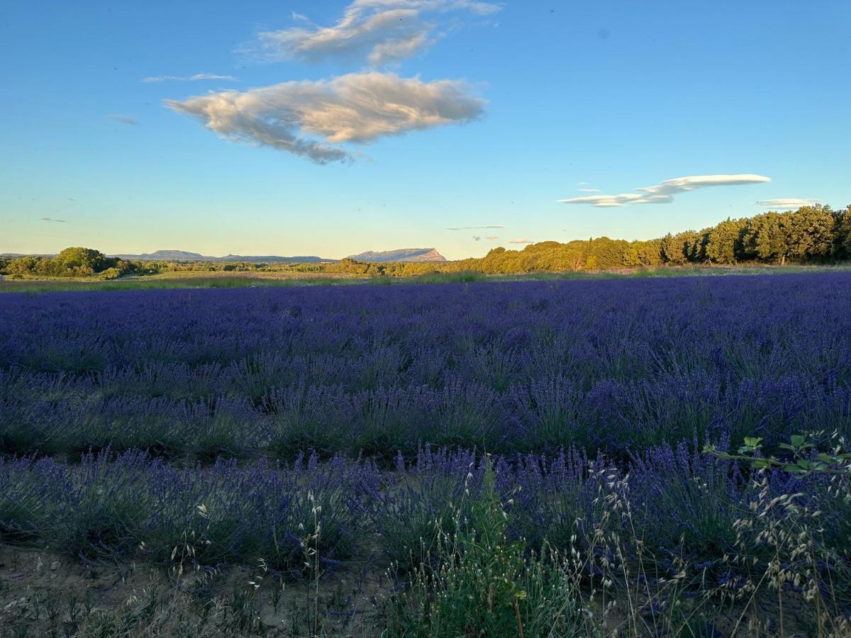Maison Francoise Bed & Breakfast Aix-en-Provence Luaran gambar