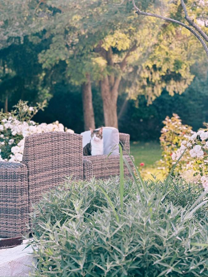 Maison Francoise Bed & Breakfast Aix-en-Provence Luaran gambar